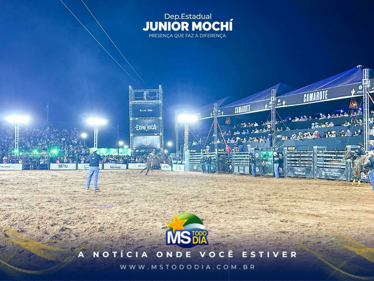 Imagem da Galeria